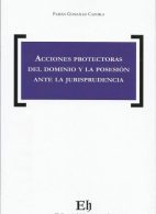 Acciones Protectoras del Dominio y la Posesión ante la Jurisprudencia