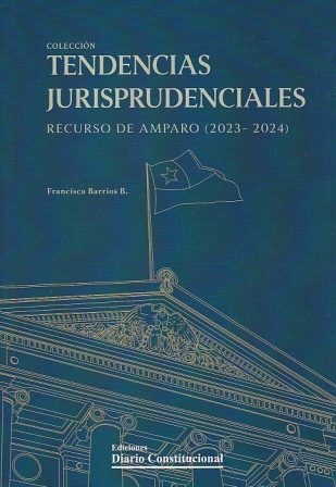 Tendencias Jurisprudenciales, Recurso de Amparo (2023 - 2024)