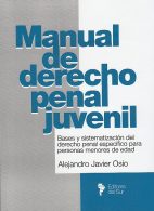 Manual de Derecho Penal Juvenil