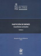 Partición de Bienes, Cuestiones Actuales tomo II